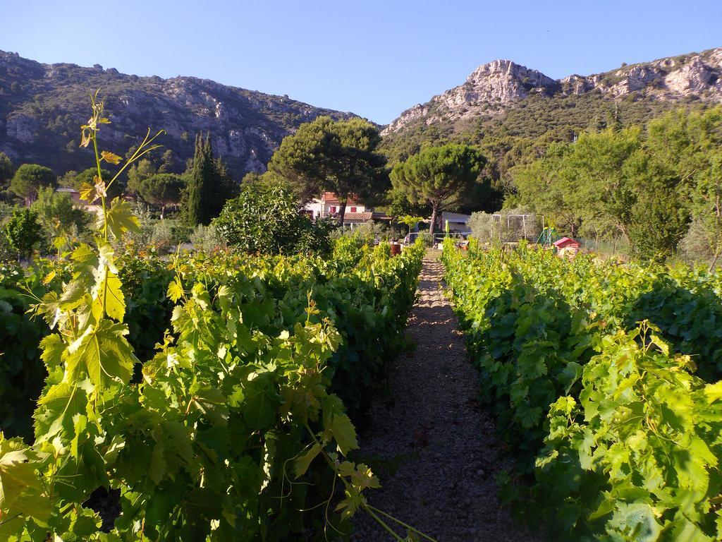 Au Havre De Paix Sainte Victoire Vauvenargues Hotel Luaran gambar