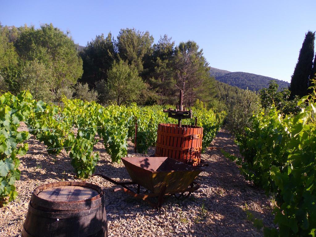 Au Havre De Paix Sainte Victoire Vauvenargues Hotel Luaran gambar